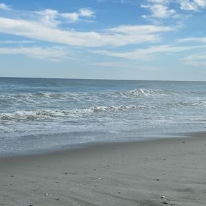 Meet your Posher, Iris